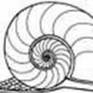 Meet your Posher, Ted